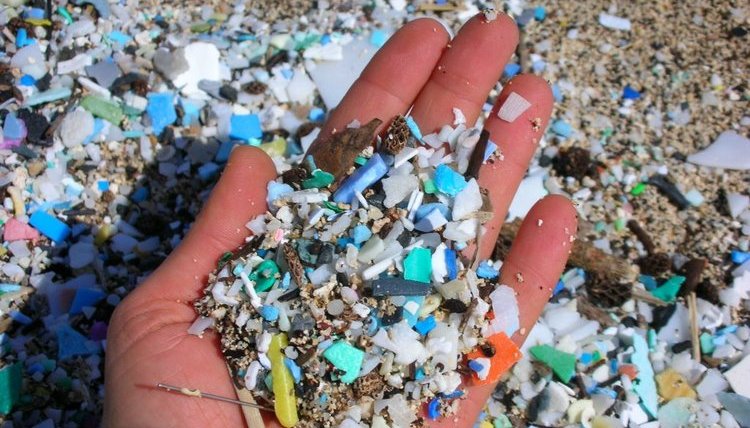 Microplástico encontrado en la playa