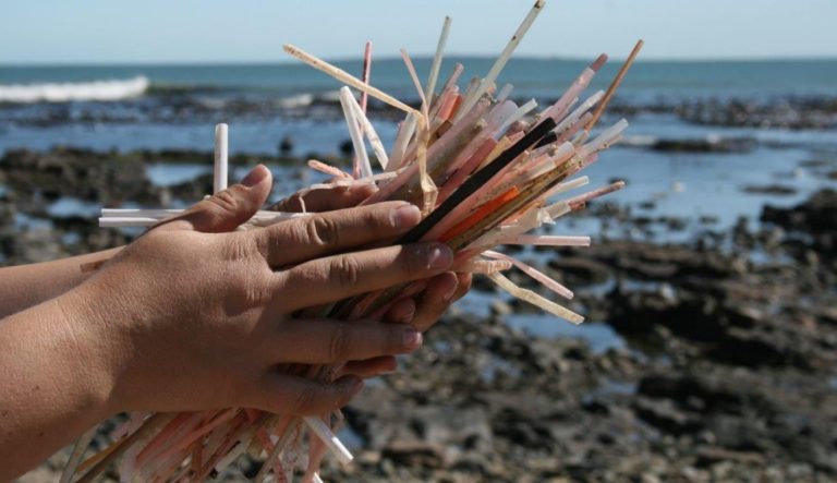 Viejas pajitas de plástico reunidas en la playa